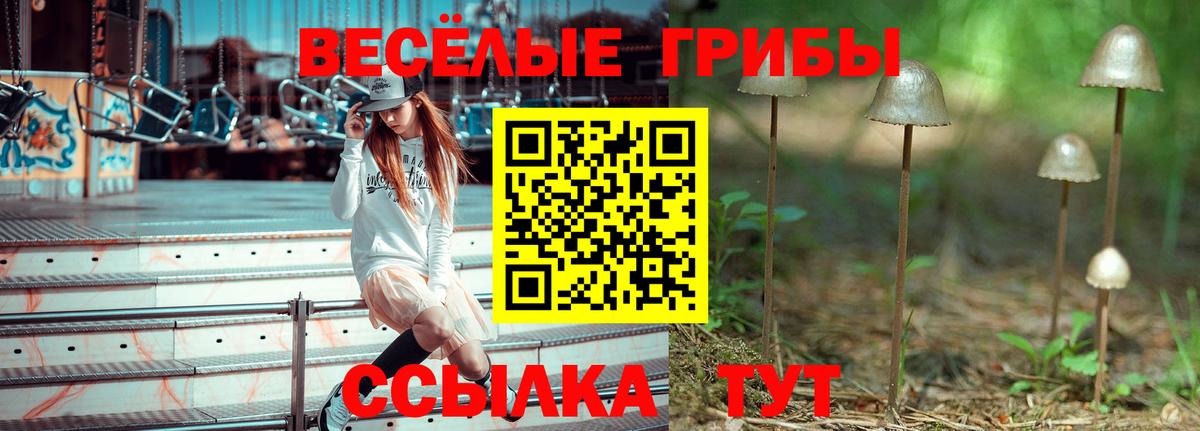 Галлюциногенные грибы ЛСД  Вход с VPN  Чехов 